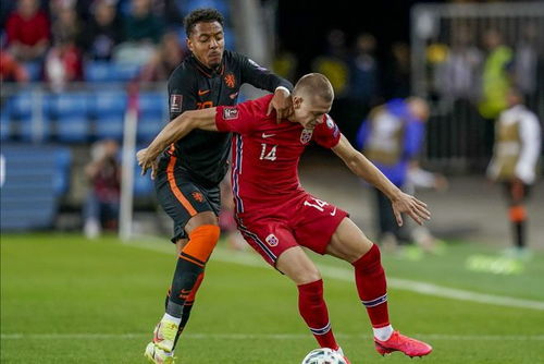 英超联赛精彩对决现场